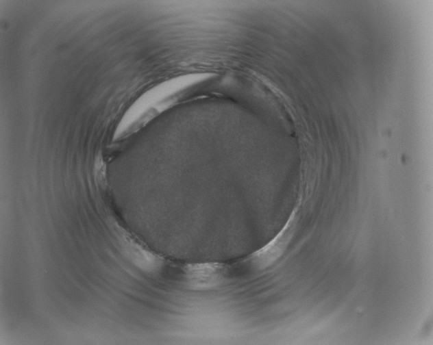 X0000076070192200610152237