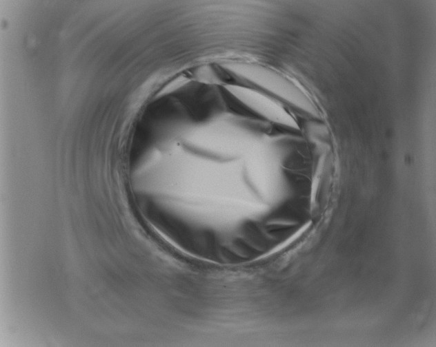 X0000076070193200610152236