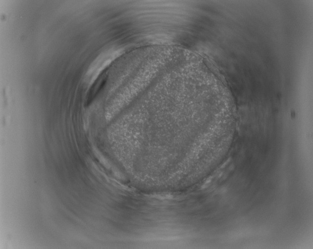 X0000076070194200610152236