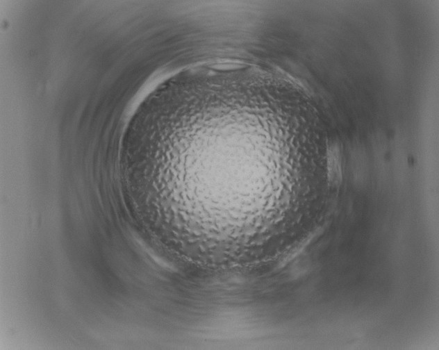 X0000076070195200610152236