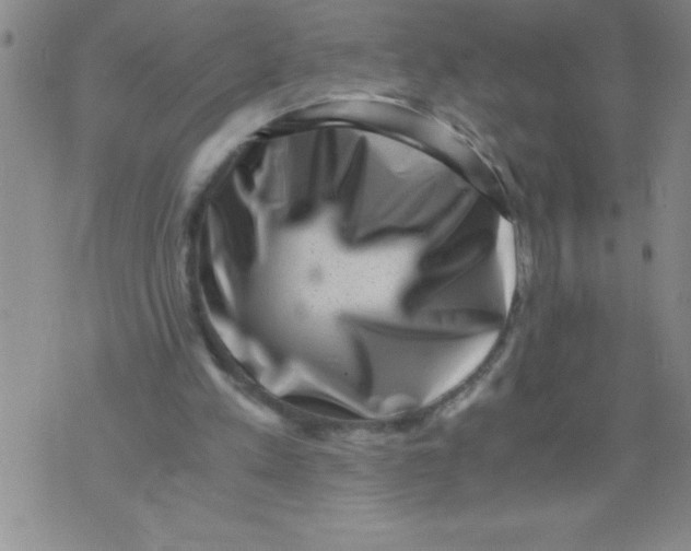 X0000076070197200610152236