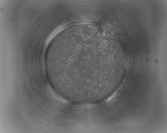 X0000076070198200610152236