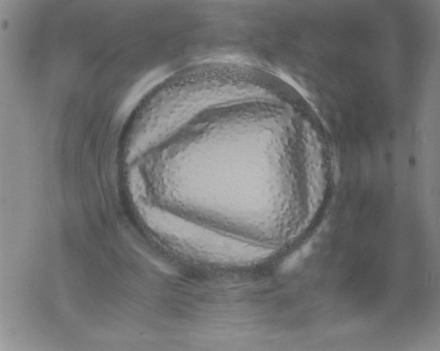 X0000076070199200610152236