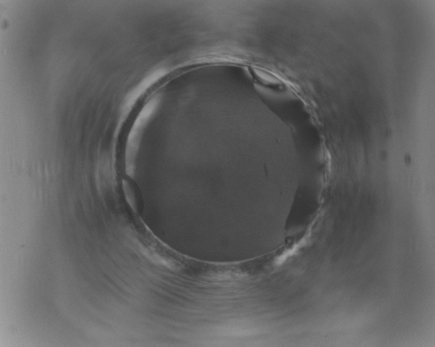 X0000076070200200610152236