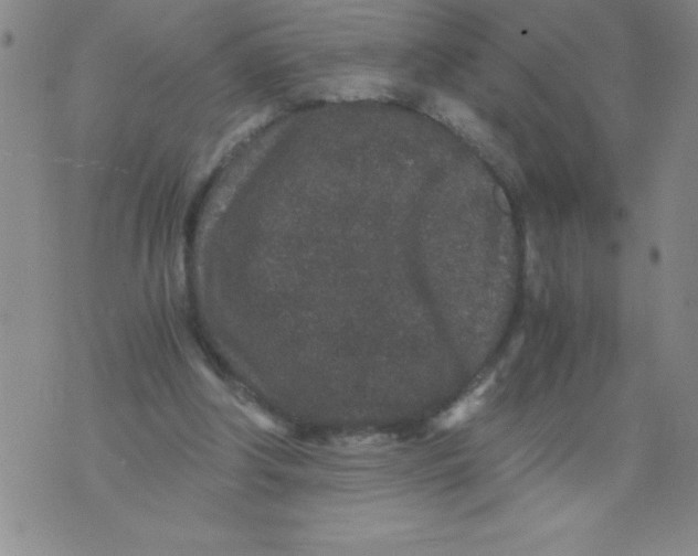 X0000076070202200610152236