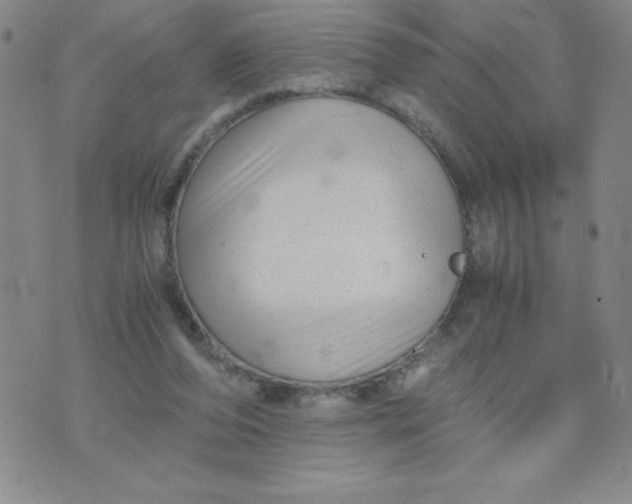 X0000076070208200610152236