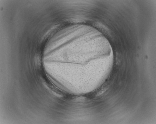 X0000076070210200610152236