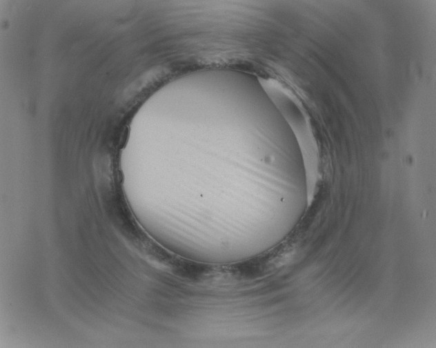 X0000076070211200610152236