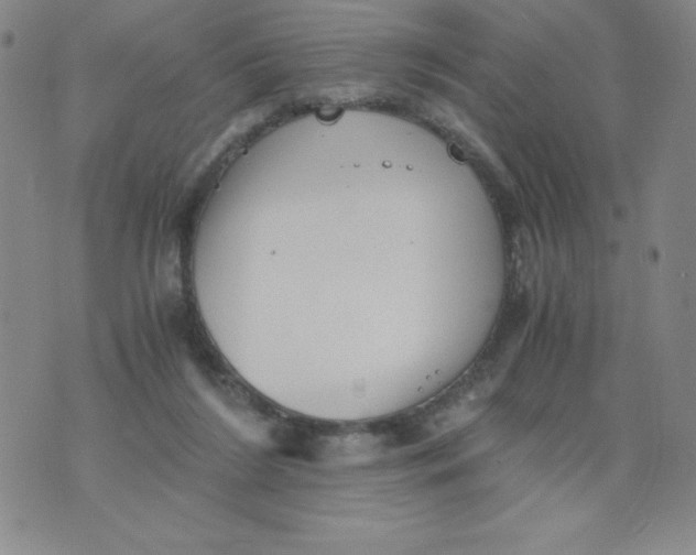 X0000076070212200610152236