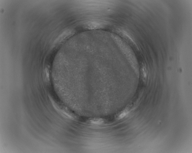 X0000076070214200610152236