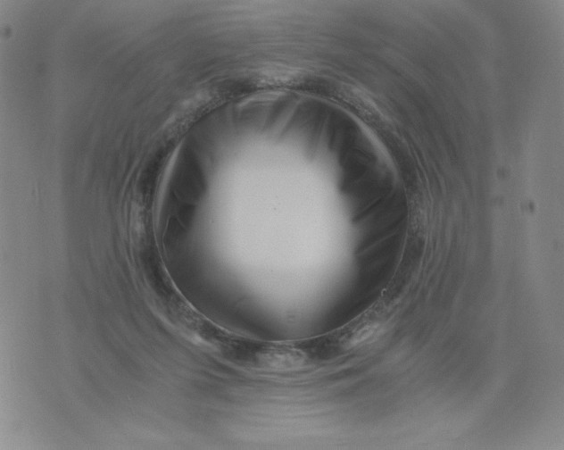 X0000076070215200610152236