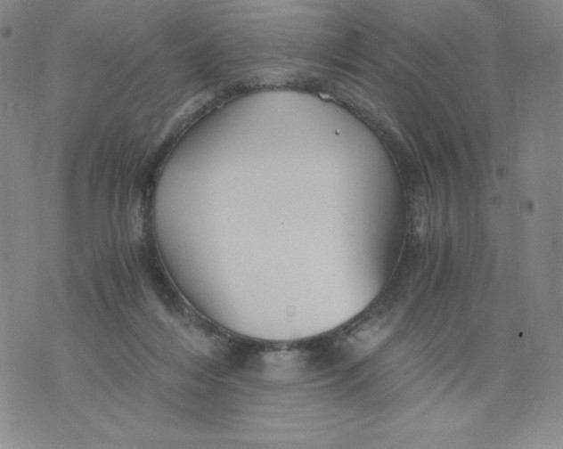 X0000076070216200610152236