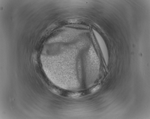 X0000076070217200610152236