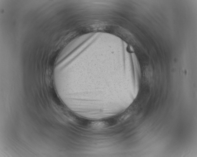 X0000076070218200610152236