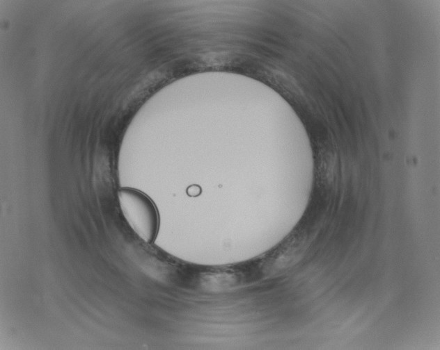 X0000076070220200610152236