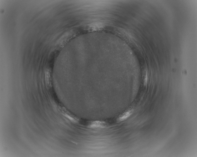 X0000076070222200610152236