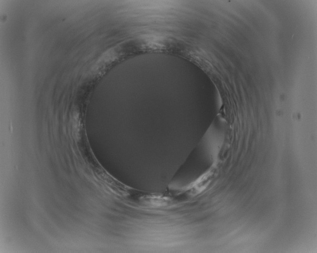 X0000076070223200610152235