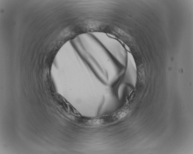 X0000076070225200610152235