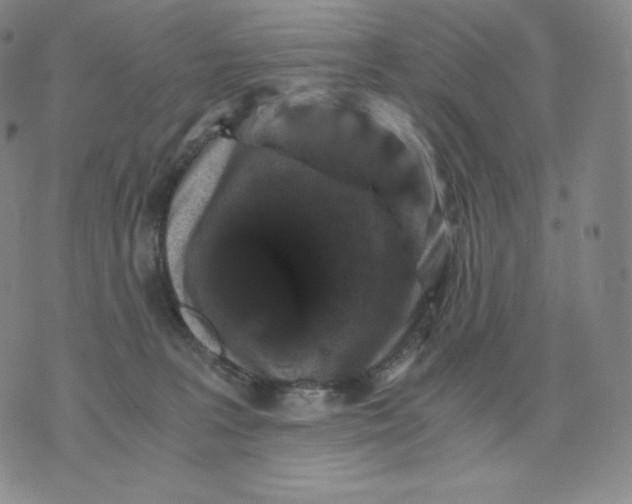 X0000076070227200610152235