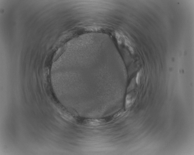 X0000076070229200610152235