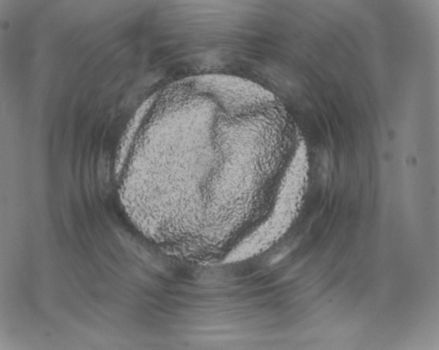 X0000076070230200610152235