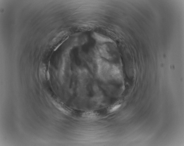 X0000076070231200610152235