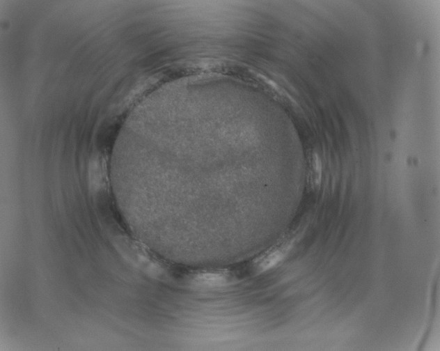 X0000076070236200610152235