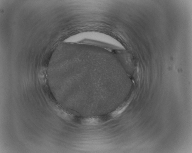 X0000076070237200610152235