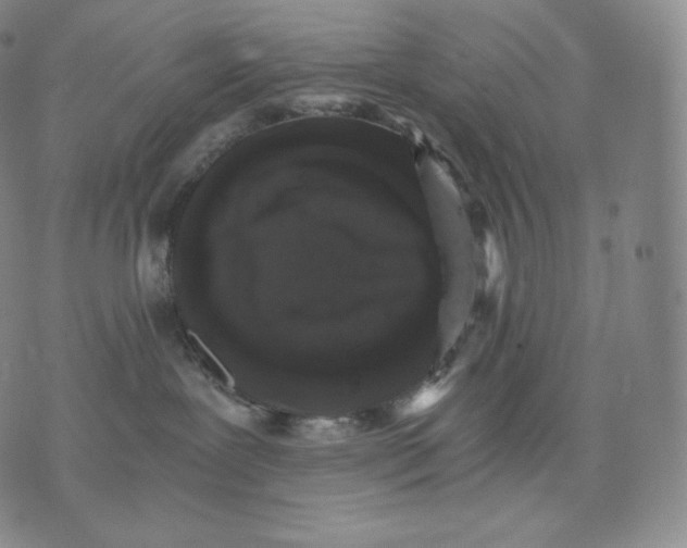 X0000076070239200610152235