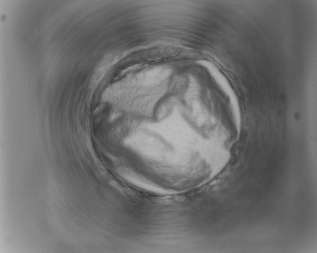 X0000076070241200610152234