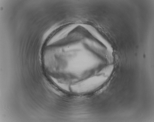 X0000076070246200610152235