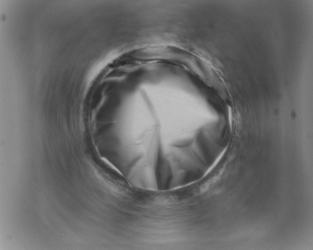 X0000076070248200610152235