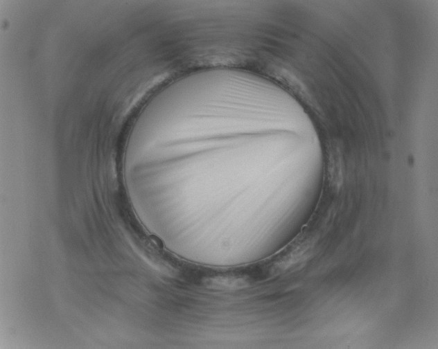 X0000076070251200610152235