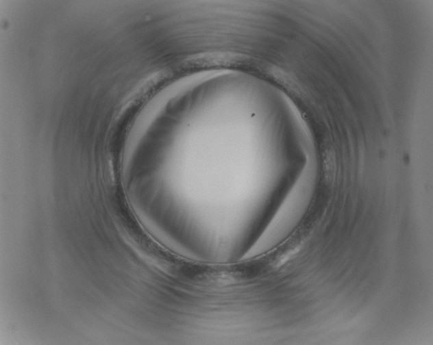 X0000076070254200610152235