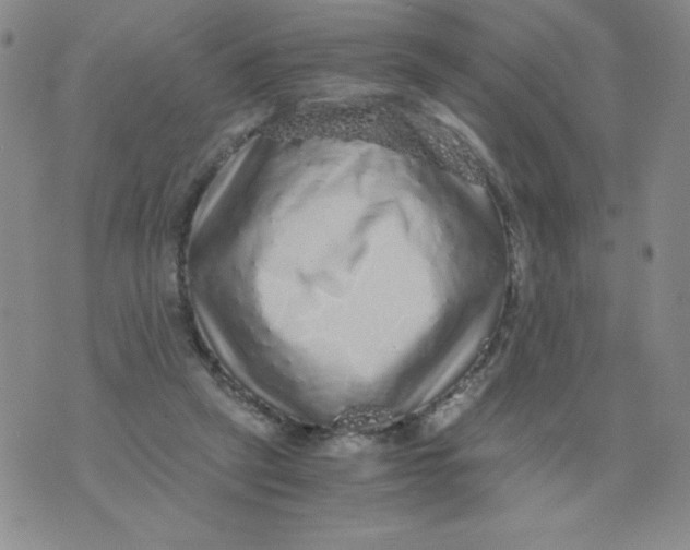 X0000076070257200610152235