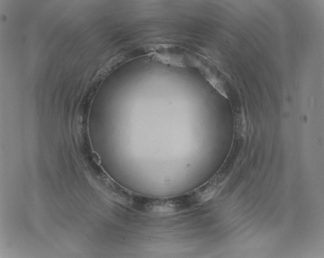 X0000076070263200610152235