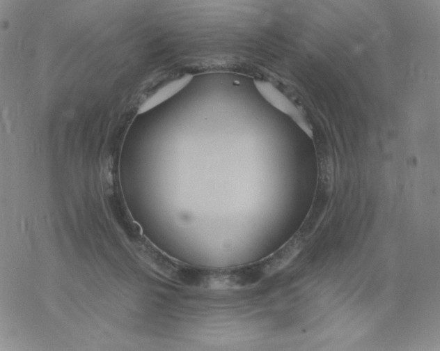 X0000076070264200610152235