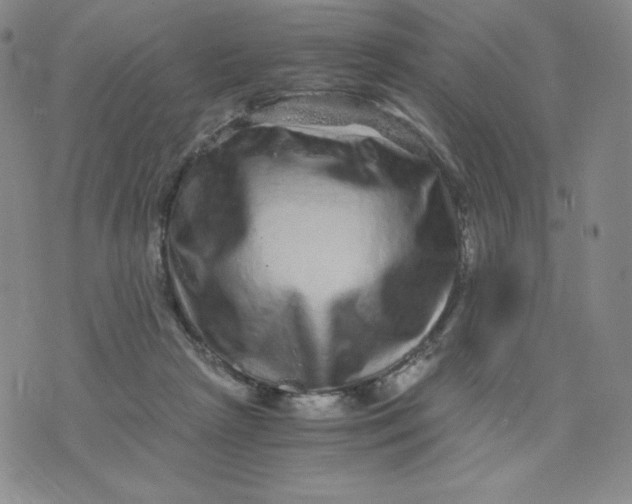 X0000076070265200610152235