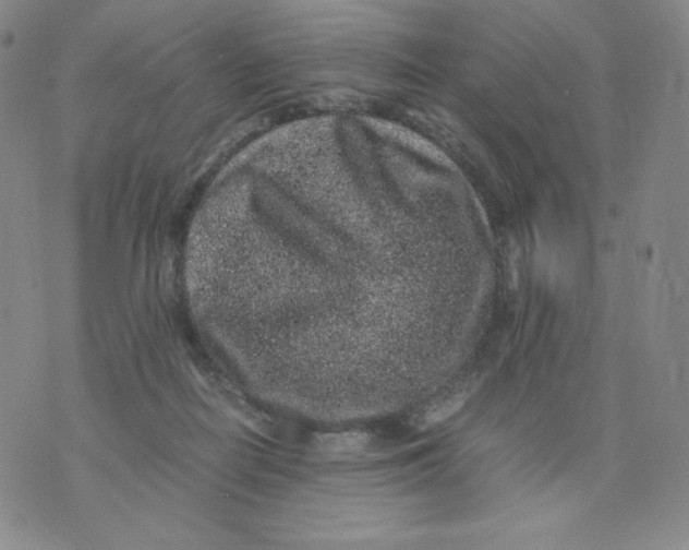 X0000076070266200610152235