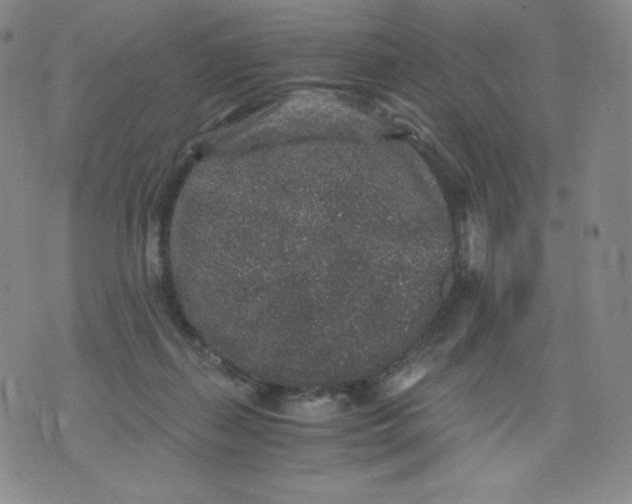 X0000076070267200610152235