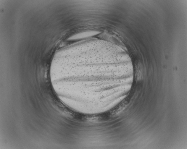 X0000076070268200610152235