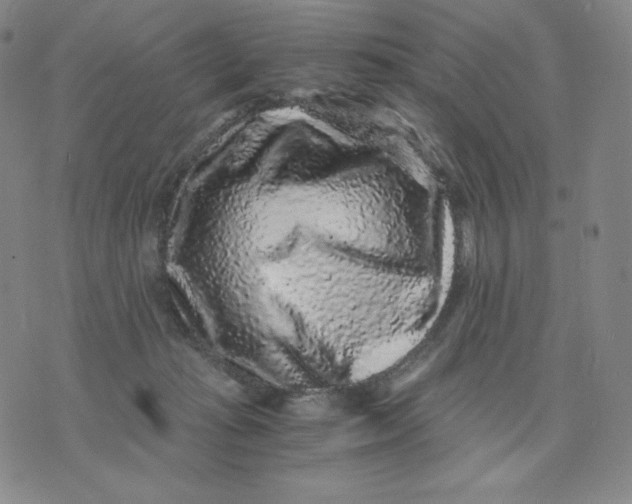 X0000076070269200610152235