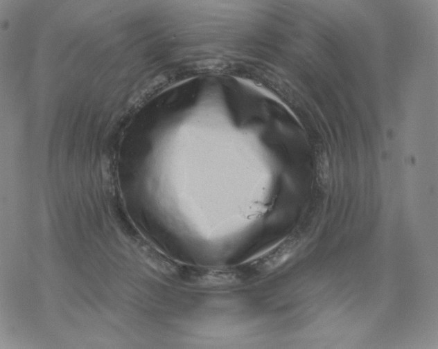 X0000076070270200610152235