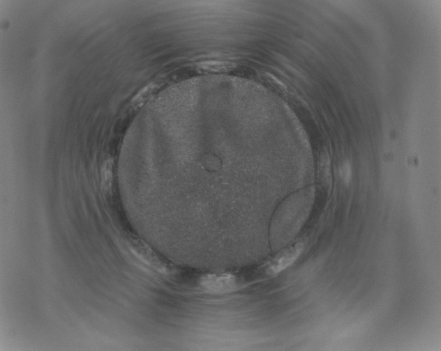 X0000076070271200610152235