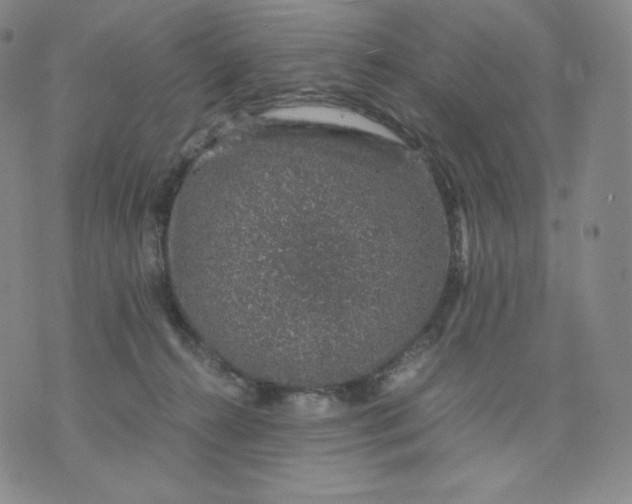 X0000076070272200610152235