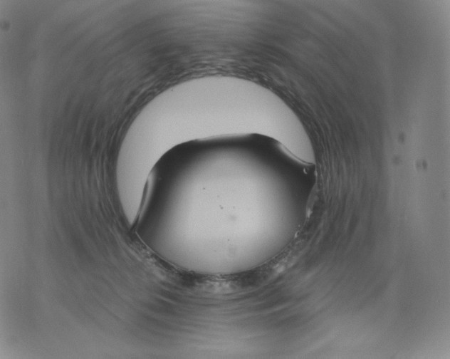 X0000076070276200610152235