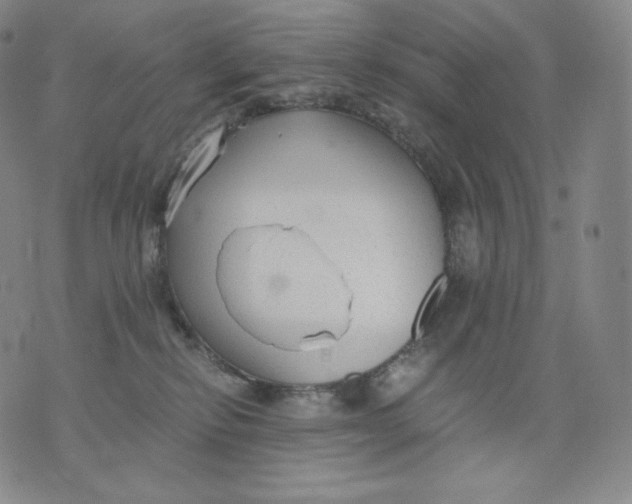 X0000076070278200610152235