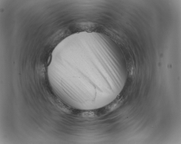 X0000076070279200610152235