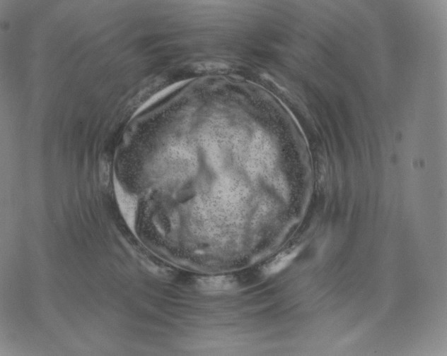 X0000076070281200610152235