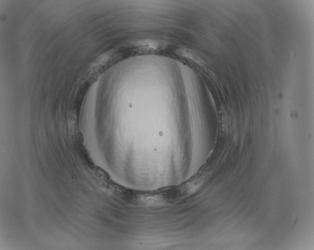 X0000076070283200610152235